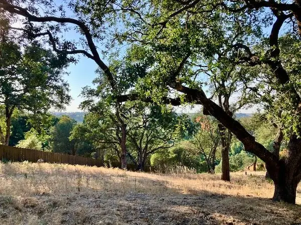 10005 River Oak Circle, Oakdale, CA 95361