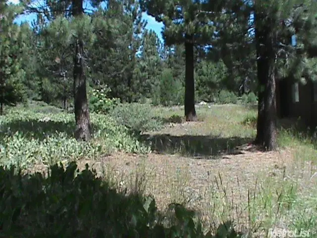 16664 Skislope Way, Truckee, CA 96161 - #1