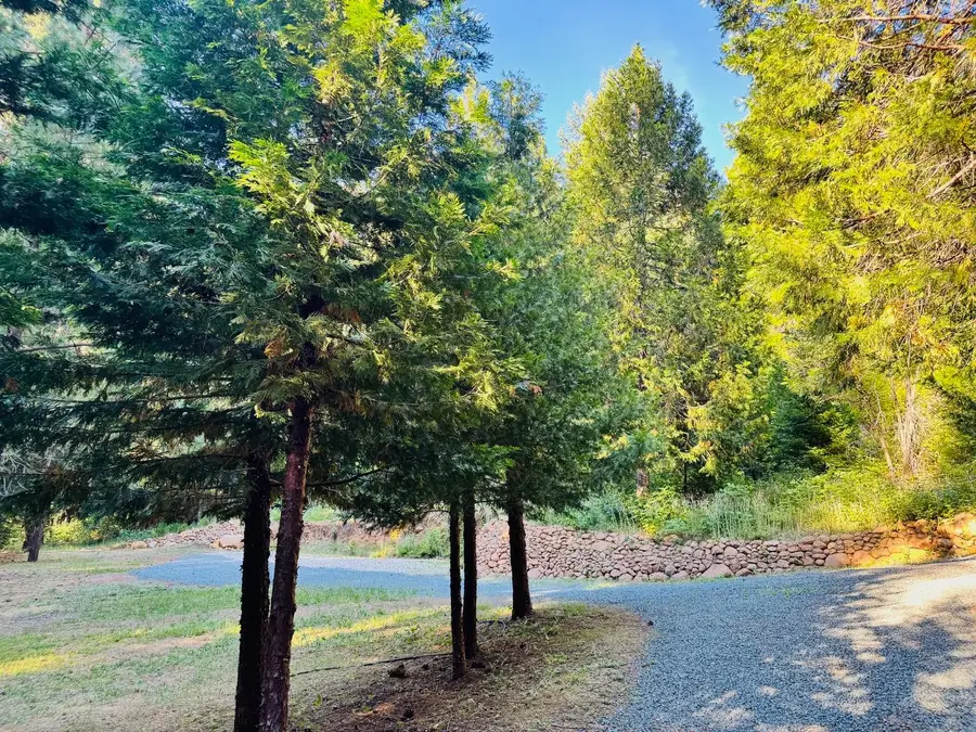 12846 Alpha Loop, Washington, CA 95986 - #2