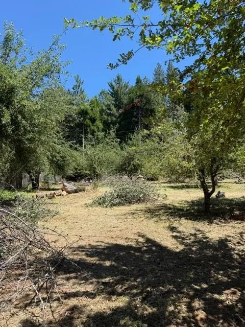 1869 Hwy 4, Arnold, CA 95223 - #1
