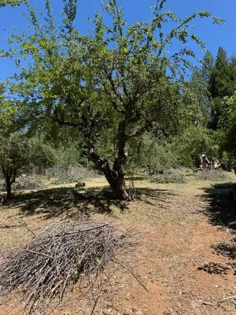 1869 Hwy 4, Arnold, CA 95223 - #3