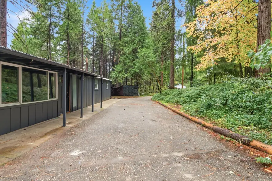 19159 Allan Road, Volcano, CA 95689 - #2