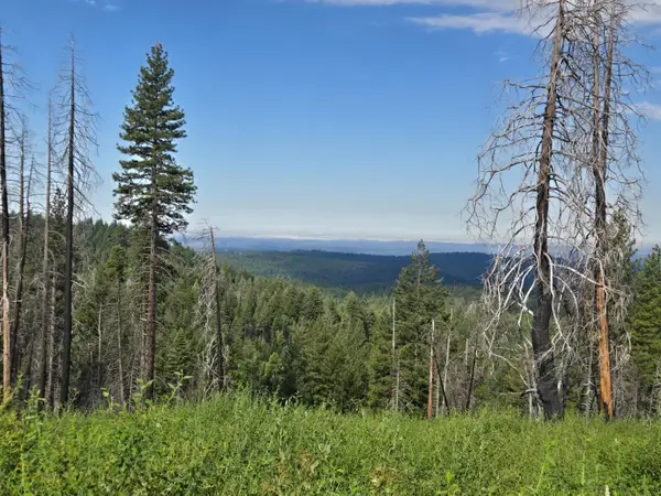 4898 Creekside, Grizzly Flats, CA 95636