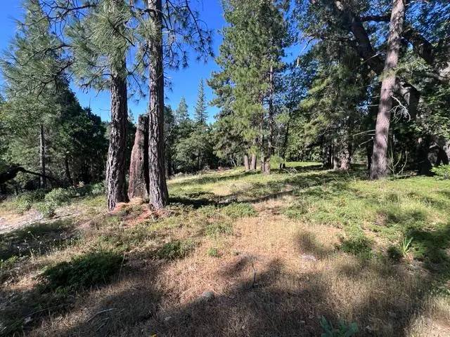 0 Spirit Lane, Pollock Pines, CA 95726 - #1