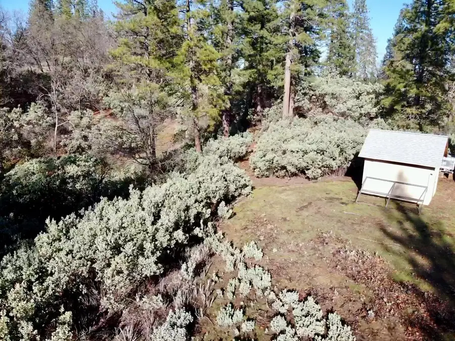 22600 Fiddletown Road, Volcano, CA 95689 - #2