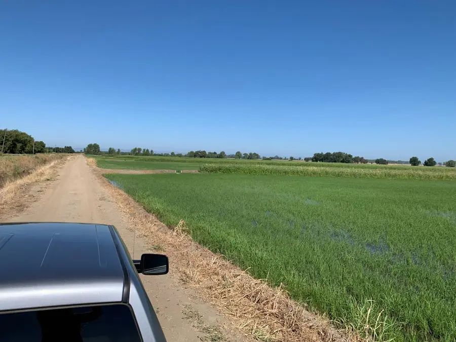 0 10658 Fasig Rd, Meridian, CA 95957 - #3