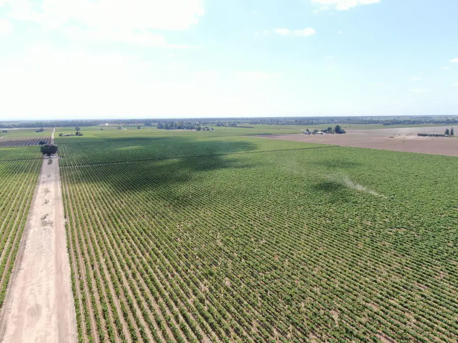 20271 N Devries Road, Lodi, CA 95242 - #3