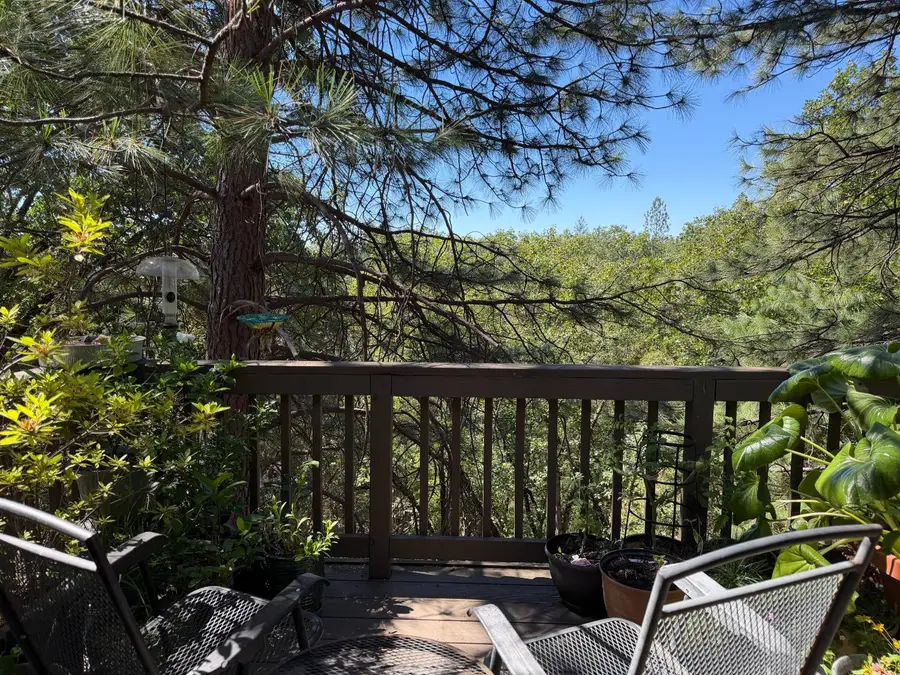 424 Catskill Drive, Colfax, CA 95713 - #2