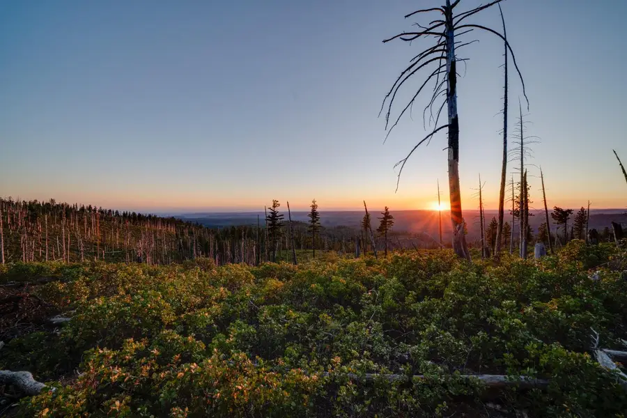 0 Off The Grid, Emigrant Gap, CA 95715 - #2