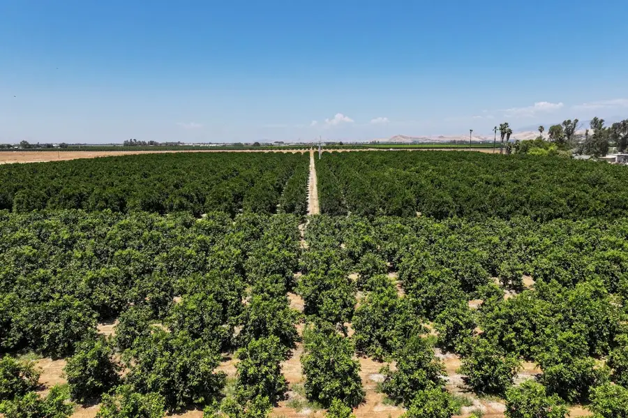 1600 Newcomb Street, Porterville, CA 93257 - #2