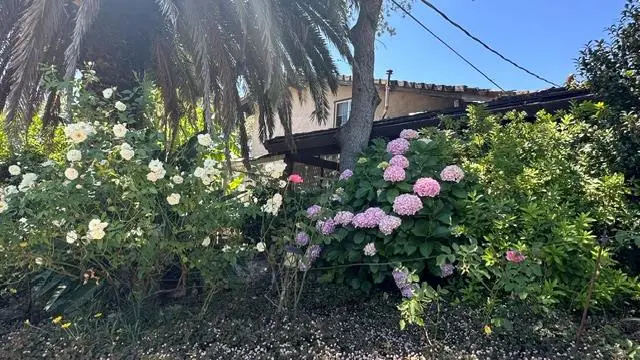 4120 Godley Road, Lincoln, CA 95648 - #3
