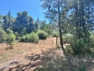 12717 Armstrong, Sheep Ranch, CA 95246 - #1