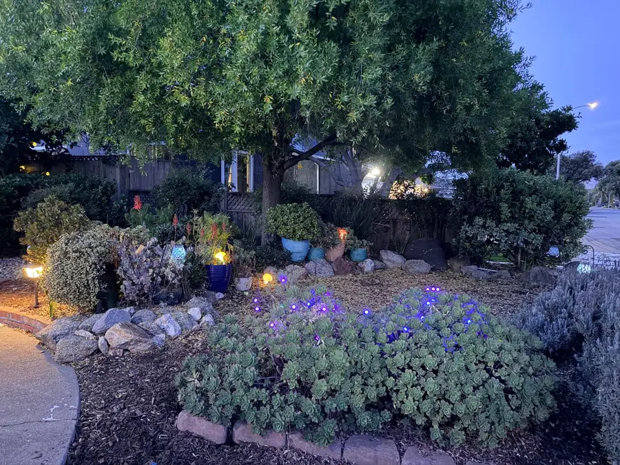 4685 Piper Street, Fremont, CA 94538 - #2
