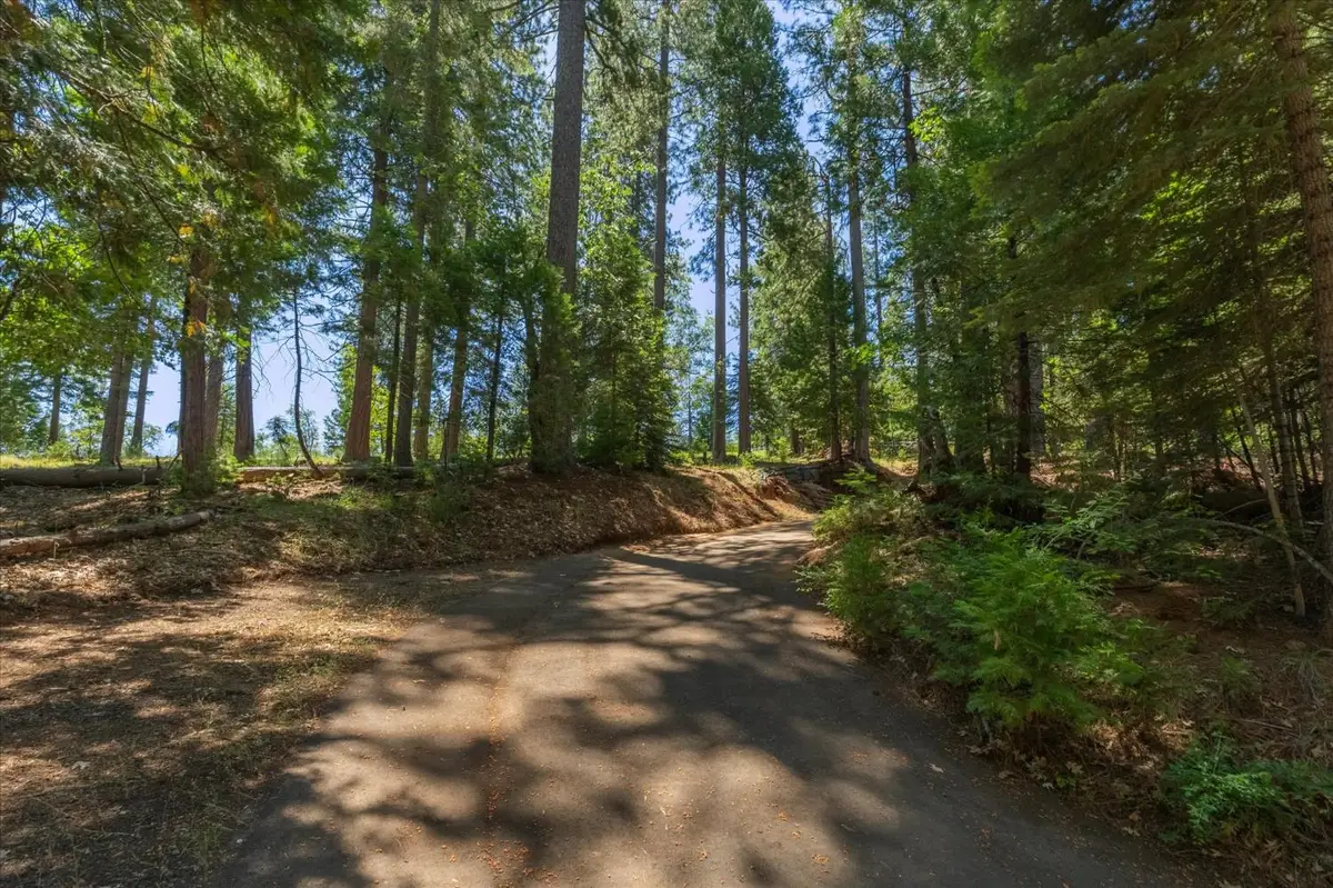 794 Ponderosa Way, Arnold, CA 95223 - #1