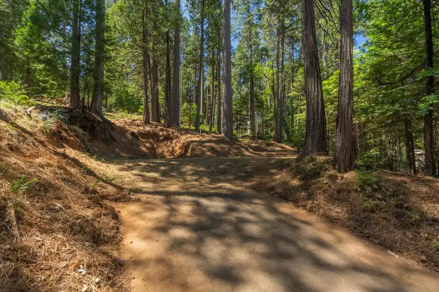 794 Ponderosa Way, Arnold, CA 95223 - #3