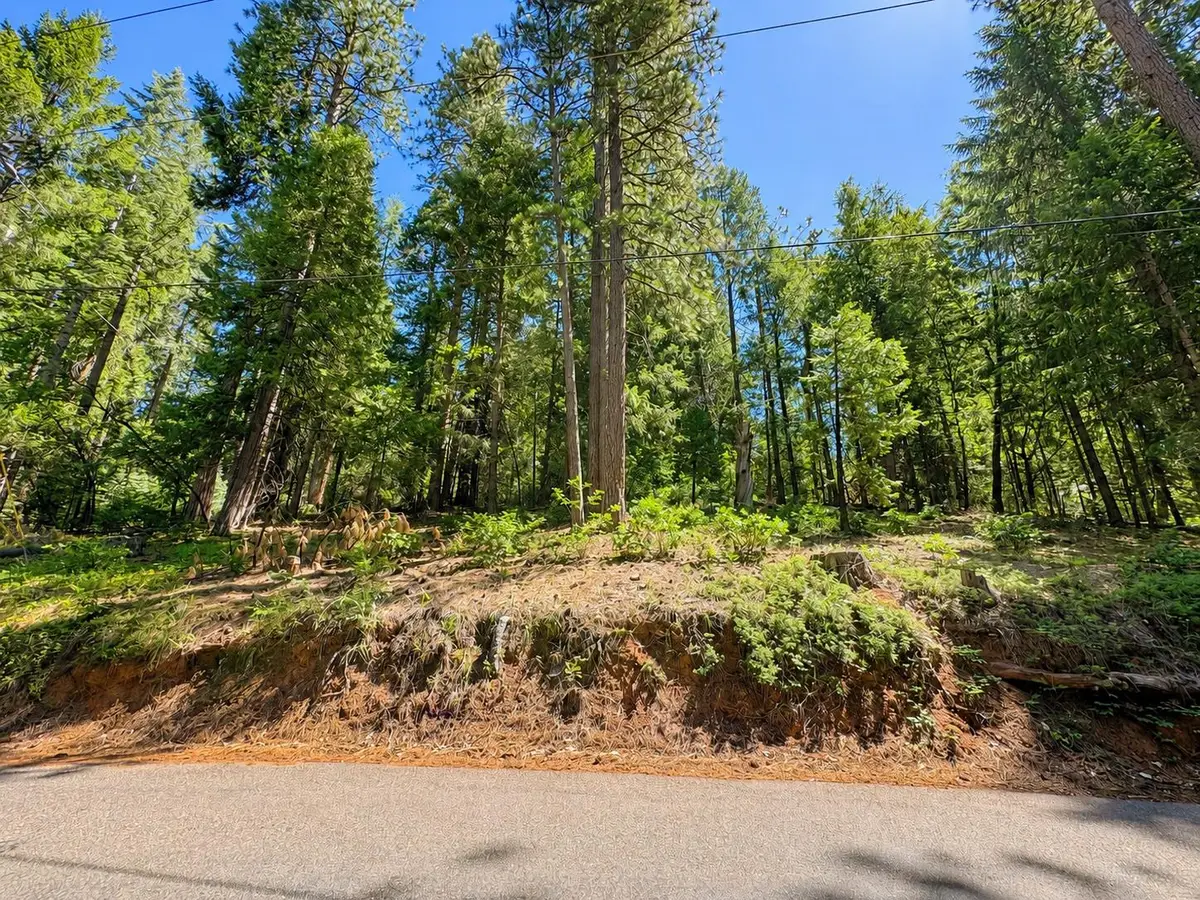 2221 Forebay Road, Pollock Pines, CA 95726 - #1