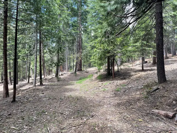 37 Iroquois Drive, Camp Connell, CA 95223