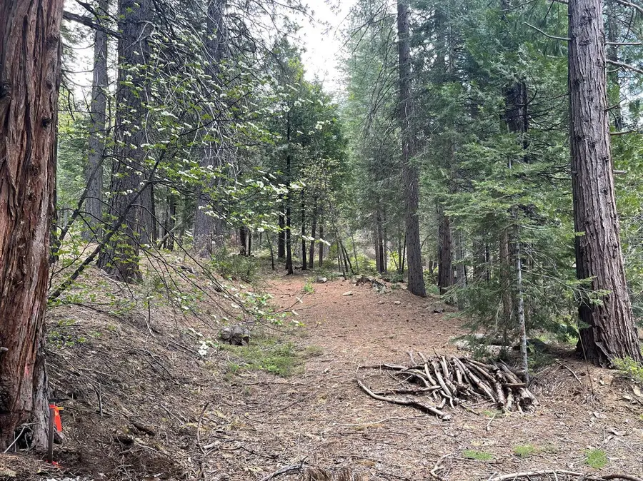 37 Iroquois Drive, Camp Connell, CA 95223 - #3
