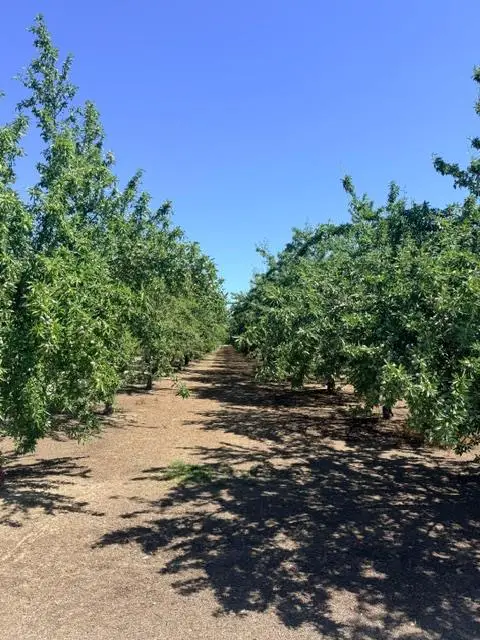 0 Service Road, Ceres, CA 95307 - #1