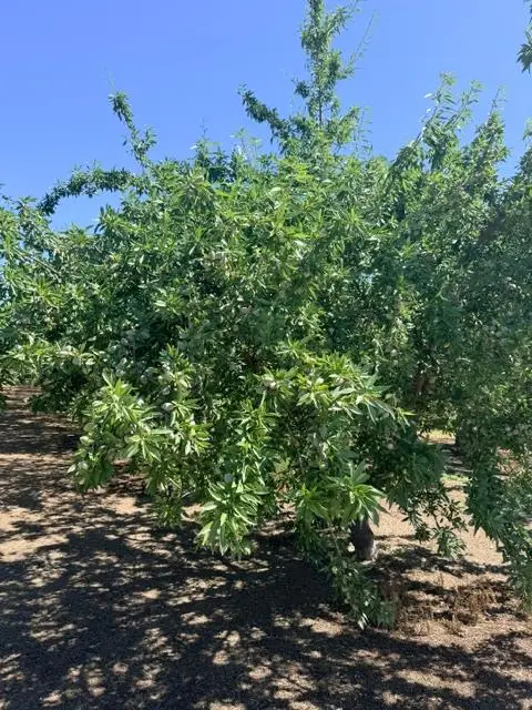 0 Service Road, Ceres, CA 95307 - #2