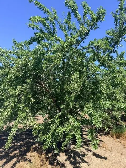 0 Service Road, Ceres, CA 95307 - #3