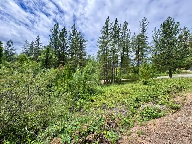 0 Grand View Way, Colfax, CA 95713 - #1