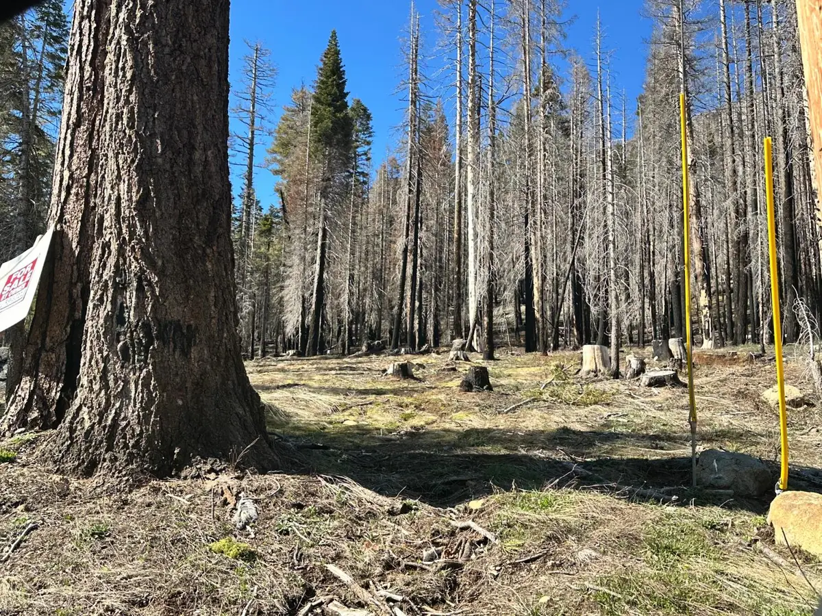 7177 Sierra Pines Road, Twin Bridges, CA 95735 - #1