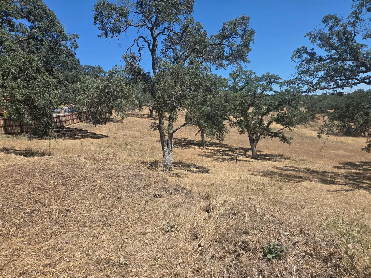 2215 Highway 26, Valley Springs, CA 95252 - #1
