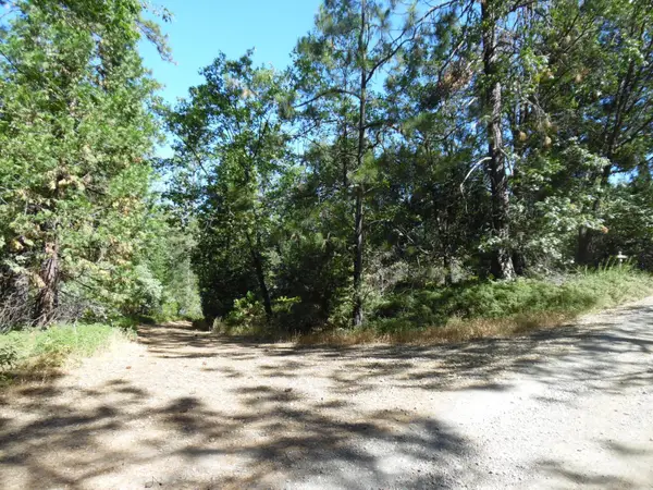 5301 Lone Star Road, Wilseyville, CA 95257