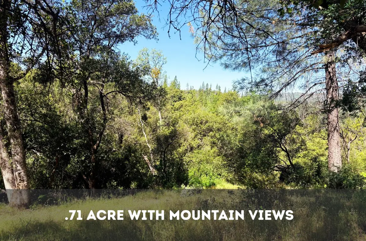 0 Sheep Ranch Rd., Sheep Ranch, CA 95246 - #1