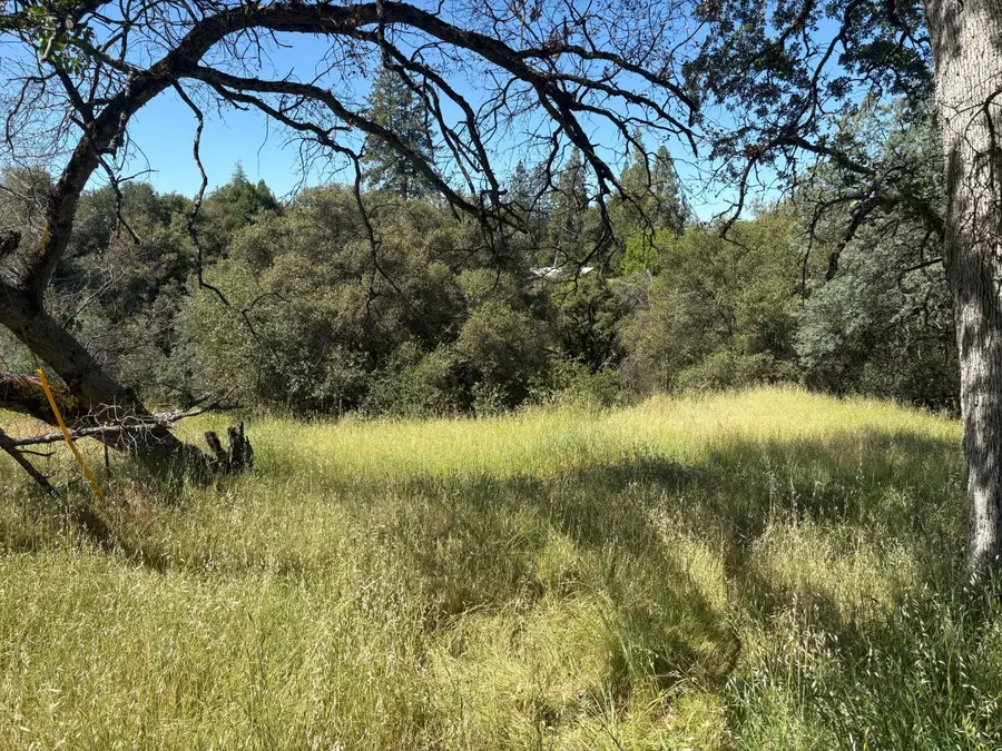 0 Sheep Ranch Rd., Sheep Ranch, CA 95246 - #2