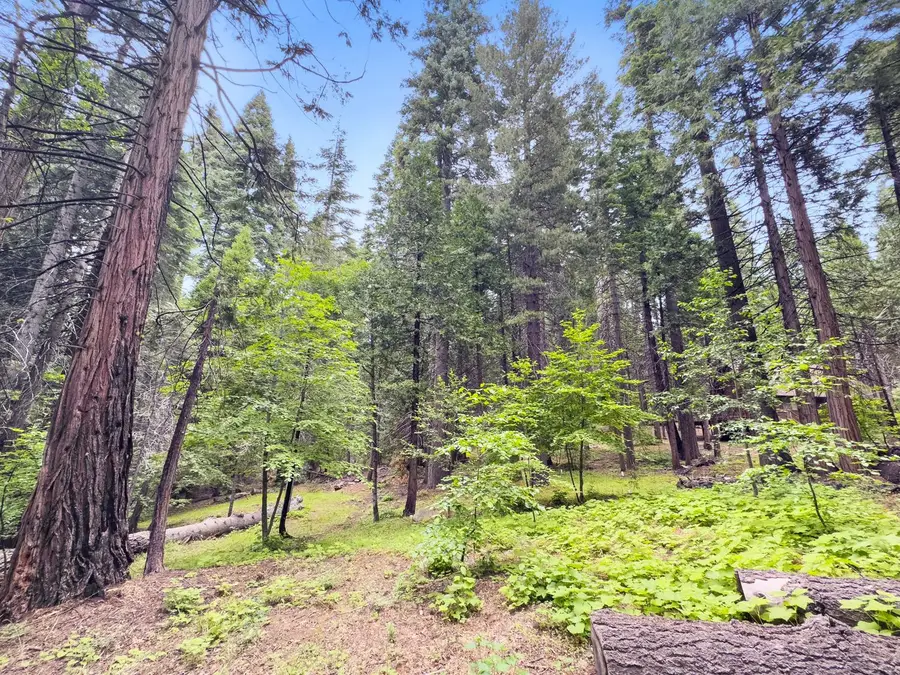 4278 Ottawa Drive, Arnold, CA 95223 - #2