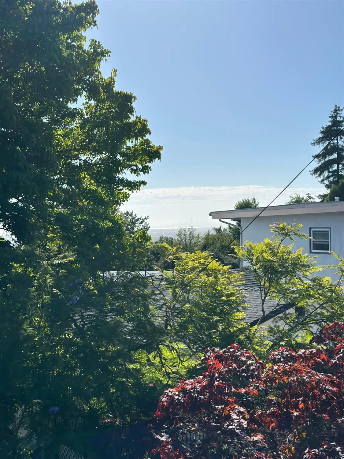 7983 Michigan Ave, Oakland, CA 94605 - #1