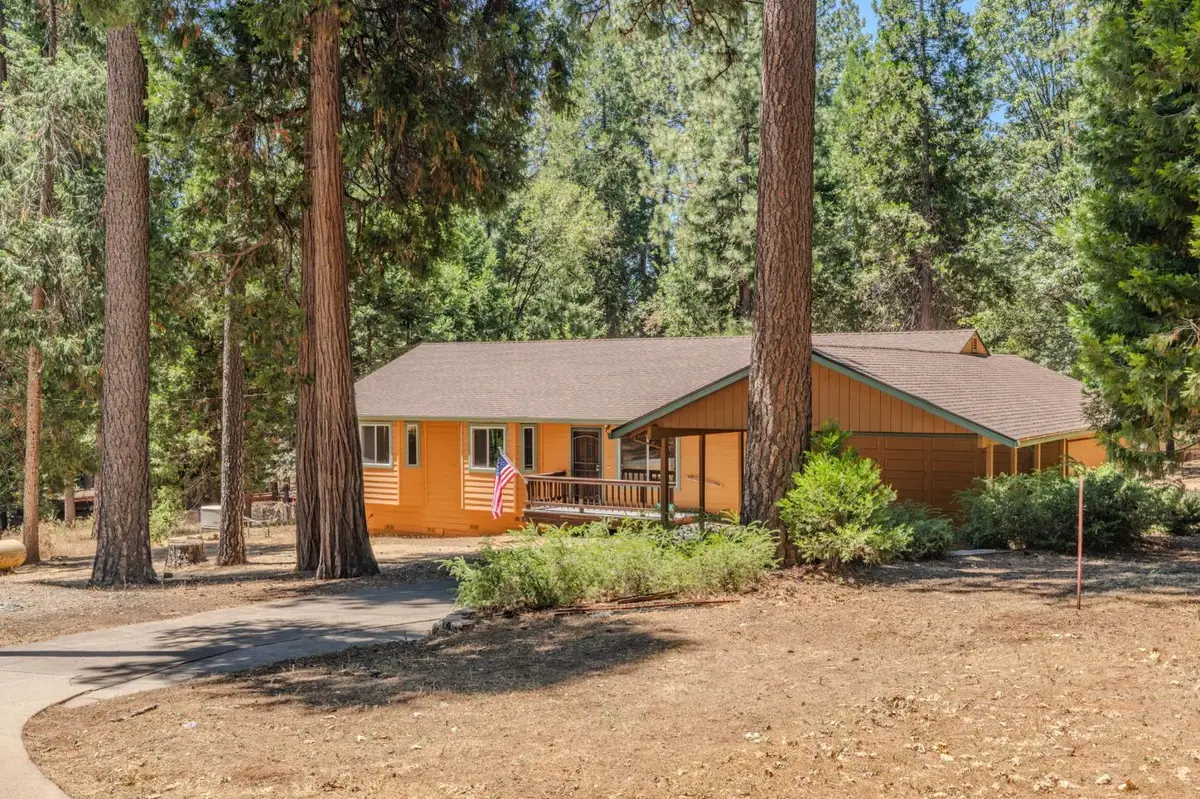 23876 Meadow Crest Drive, Pioneer, CA 95666 - #1