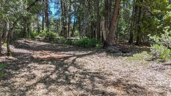 12479 Tesla Place, Nevada City, CA 95959
