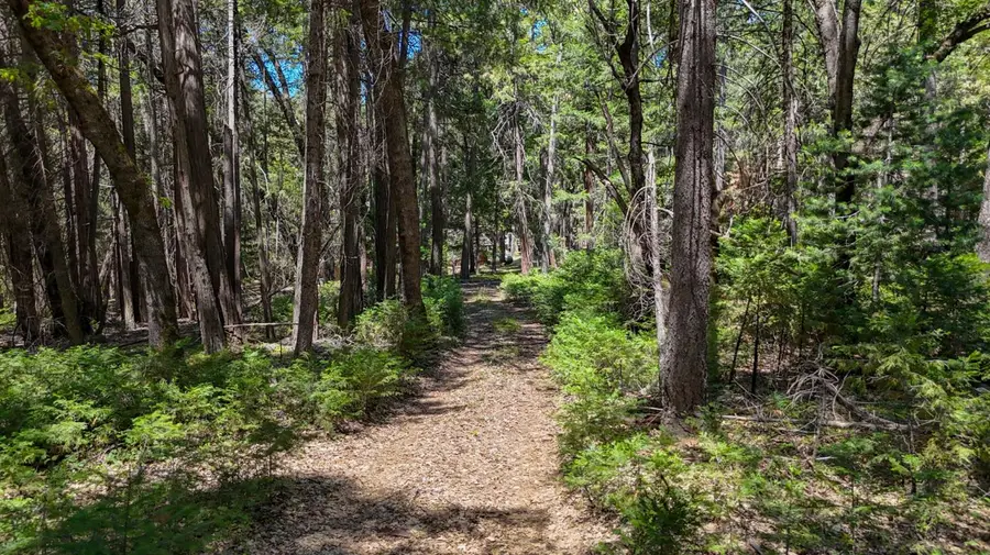 12479 Tesla Place, Nevada City, CA 95959 - #2