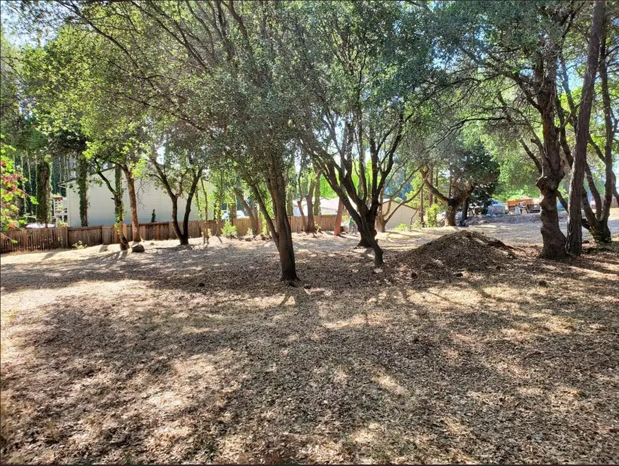 3394 La Canada Drive, Cameron Park, CA 95682 - #2
