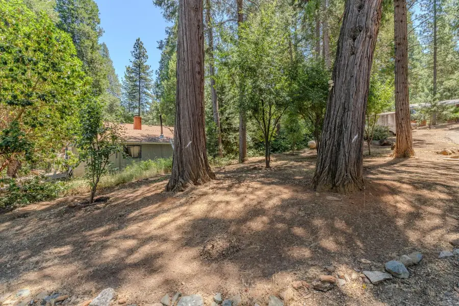 23512 Robin Rd, Pioneer, CA 95666 - #3