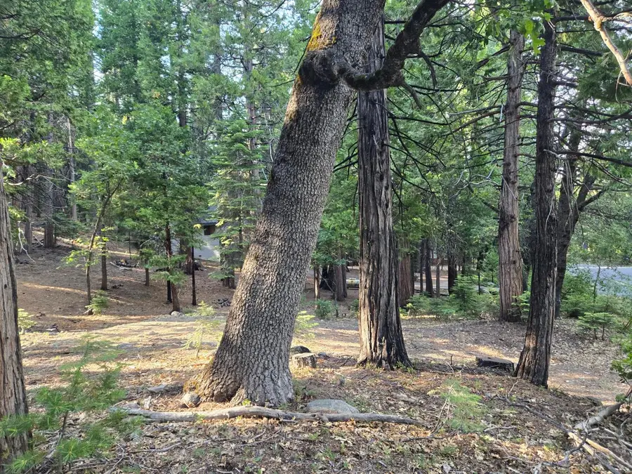 3850 Apache Road, Dorrington, CA 95223 - #2