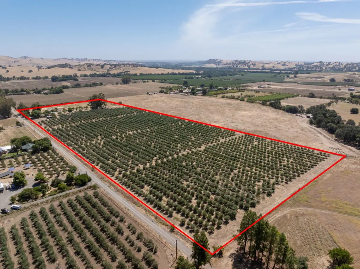20115 County Road 79a, Capay, CA 95607 - #1