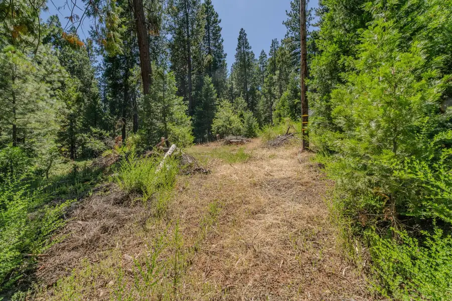 19403 Woodridge Drive, Pioneer, CA 95666 - #3