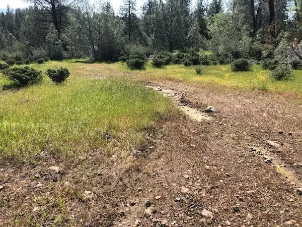 0 Carson Drive, Pioneer, CA 95666