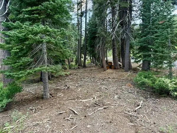0 Quaking Aspen Road, Bear Valley, CA 95223