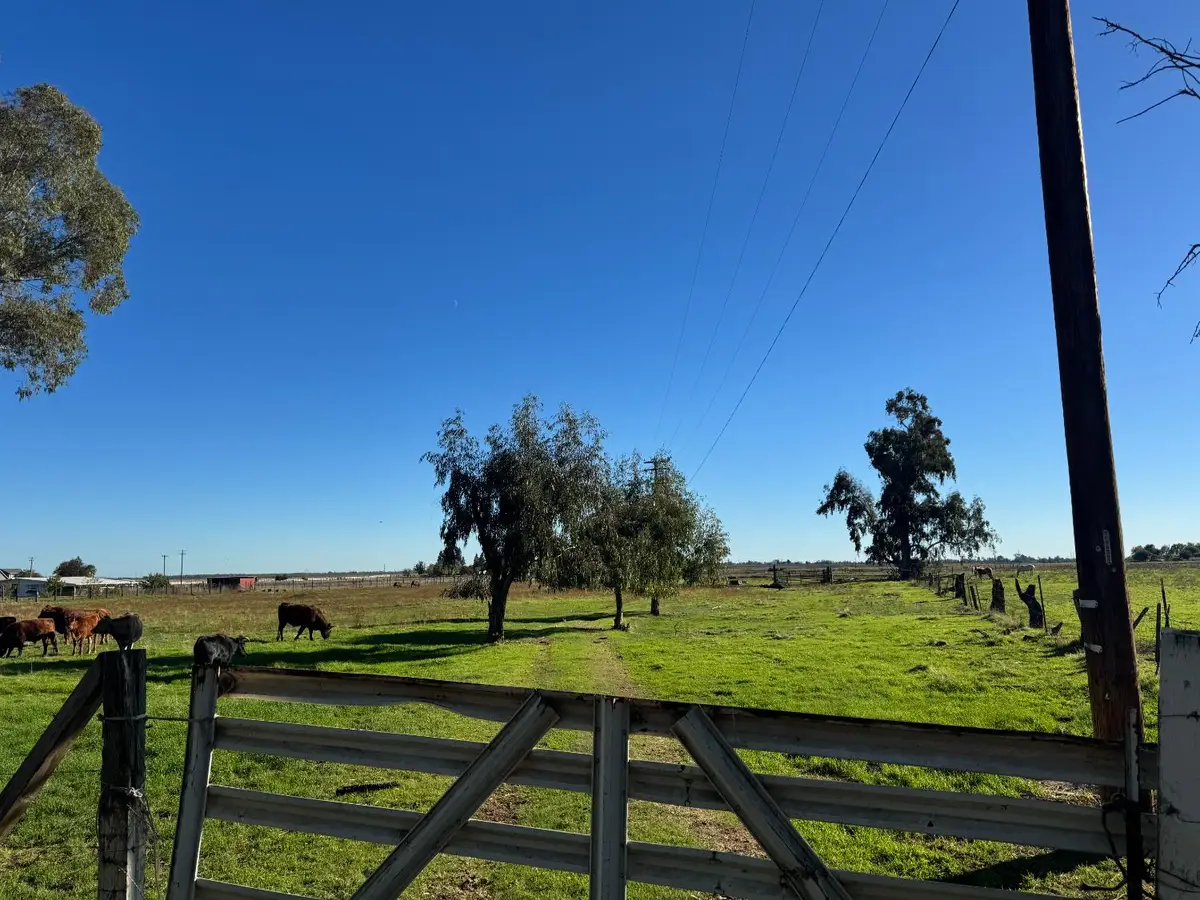 0 Blake Road, Wilton, CA 95693 - #1