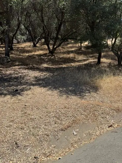 11839 Warbler Way, Penn Valley, CA 95946 - #1