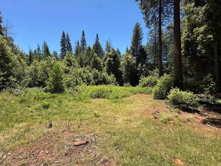 17243 Indiana Ranch Road, Dobbins, CA 95935 - #2