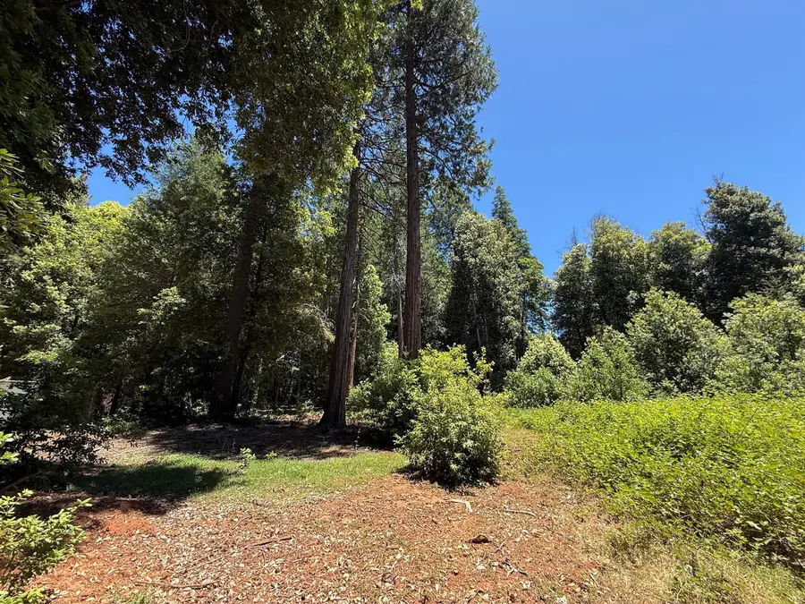 17243 Indiana Ranch Road, Dobbins, CA 95935 - #3
