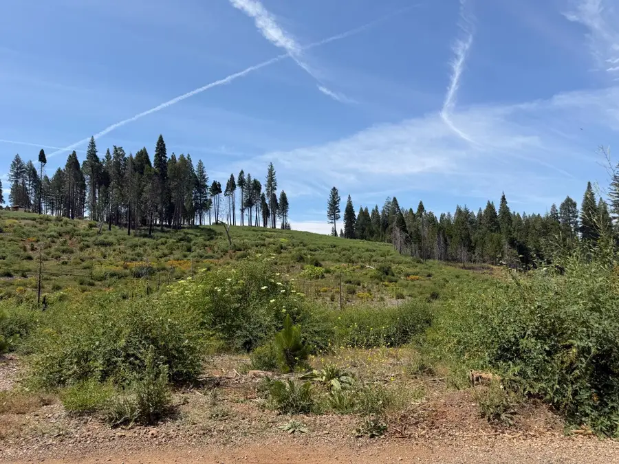 4621 Sciaroni Road, Grizzly Flats, CA 95636 - #2