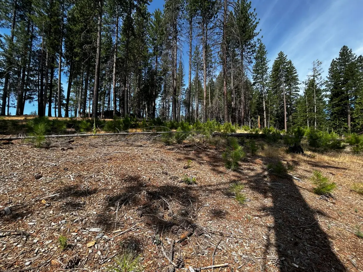 4904 Mount Pleasant Drive, Grizzly Flats, CA 95636 - #1