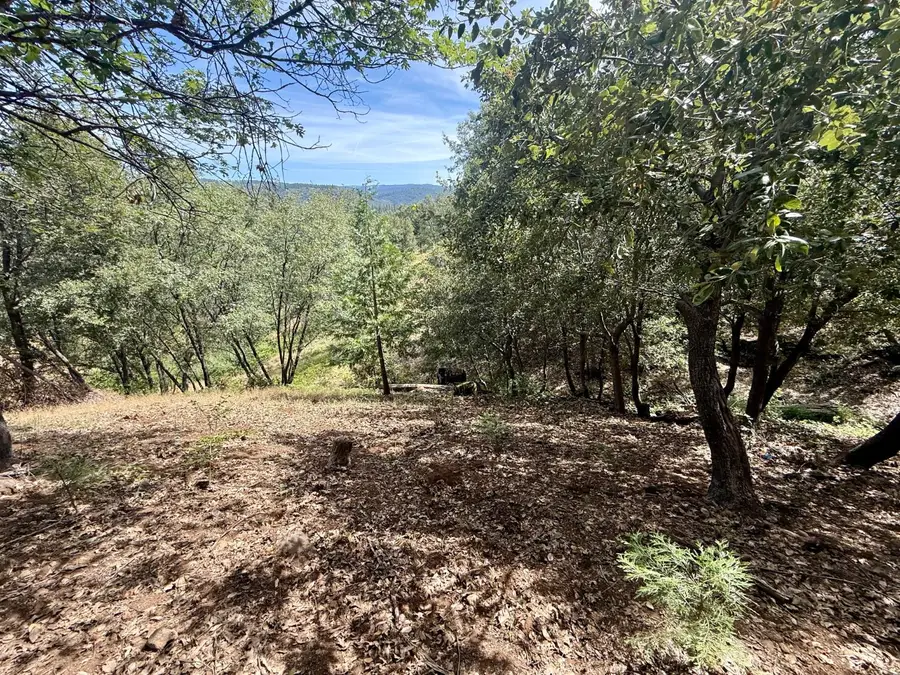 339 Snowberry Court, Murphys, CA 95247 - #2